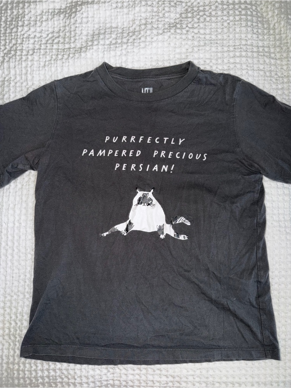 Uniqlo UT Purrfectly Pampered Precious Persian' Cat Graphic Tee